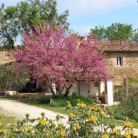 Agriturismo Timignano Apartment Monteguidi ภายนอก รูปภาพ