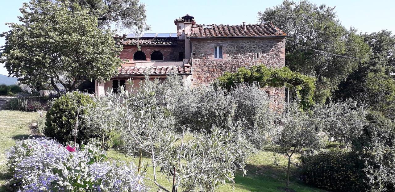 Agriturismo Timignano Apartment Monteguidi ภายนอก รูปภาพ