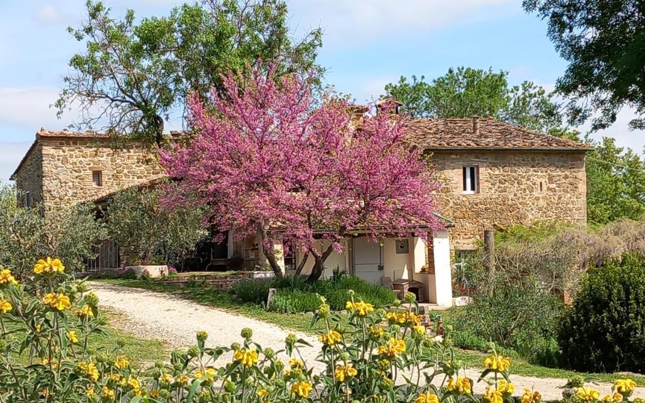 Agriturismo Timignano Apartment Monteguidi ภายนอก รูปภาพ